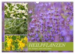 Heilpflanzen für Körper, Seele und Sinne (Wandkalender 2024 DIN A3 quer), CALVENDO Monatskalender