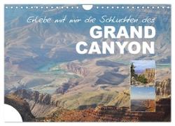 Erlebe mit mir die Schluchten des Grand Canyon (Wandkalender 2024 DIN A4 quer), CALVENDO Monatskalender