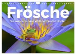 Frösche - Die wunderschöne Welt der bunten Hüpfer. (Wandkalender 2024 DIN A4 quer), CALVENDO Monatskalender