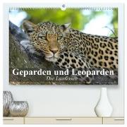 Die Lautlosen. Geparden und Leoparden (hochwertiger Premium Wandkalender 2024 DIN A2 quer), Kunstdruck in Hochglanz