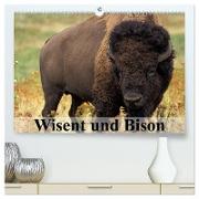 Wisent und Bison (hochwertiger Premium Wandkalender 2024 DIN A2 quer), Kunstdruck in Hochglanz