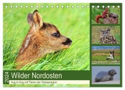 Wilder Nordosten - Aug in Aug mit Tieren der Ostseeregion (Tischkalender 2024 DIN A5 quer), CALVENDO Monatskalender