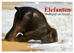 Elefanten. Badespaß am Strand (Wandkalender 2024 DIN A4 quer), CALVENDO Monatskalender