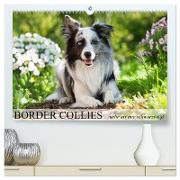 Border Collies - nicht nur schwarzweiß (hochwertiger Premium Wandkalender 2024 DIN A2 quer), Kunstdruck in Hochglanz