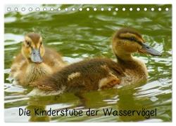 Die Kinderstube der Wasservögel (Tischkalender 2024 DIN A5 quer), CALVENDO Monatskalender