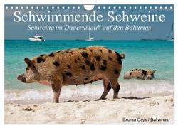Schwimmende Schweine (Wandkalender 2024 DIN A4 quer), CALVENDO Monatskalender