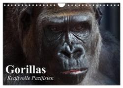 Gorillas. Kraftvolle Pazifisten (Wandkalender 2024 DIN A4 quer), CALVENDO Monatskalender