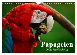 Papageien. Bunt, laut und klug (Wandkalender 2024 DIN A4 quer), CALVENDO Monatskalender