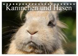 Kaninchen und Hasen (Tischkalender 2024 DIN A5 quer), CALVENDO Monatskalender