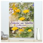 Zinnien im Garten (hochwertiger Premium Wandkalender 2024 DIN A2 hoch), Kunstdruck in Hochglanz
