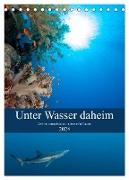 Unter Wasser daheim (Tischkalender 2024 DIN A5 hoch), CALVENDO Monatskalender