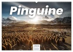 Pinguine - Die sympathischen Frack-Träger (Wandkalender 2024 DIN A2 quer), CALVENDO Monatskalender