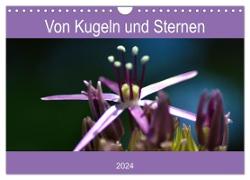 Von Kugeln und Sternen (Wandkalender 2024 DIN A4 quer), CALVENDO Monatskalender