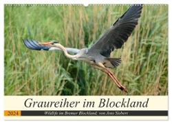 Graureiher im Blockland (Wandkalender 2024 DIN A2 quer), CALVENDO Monatskalender