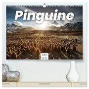 Pinguine - Die sympathischen Frack-Träger (hochwertiger Premium Wandkalender 2024 DIN A2 quer), Kunstdruck in Hochglanz