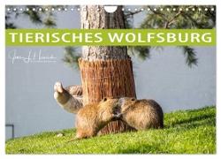 Tierisches Wolfsburg (Wandkalender 2024 DIN A4 quer), CALVENDO Monatskalender