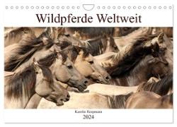 Wildpferde Weltweit (Wandkalender 2024 DIN A4 quer), CALVENDO Monatskalender