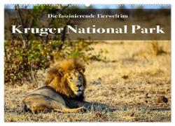 Faszinierende Tierwelt des Kruger National Parks (Wandkalender 2024 DIN A2 quer), CALVENDO Monatskalender