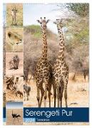 Serengeti Pur - Tansania (Wandkalender 2024 DIN A2 hoch), CALVENDO Monatskalender