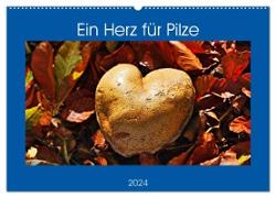Ein Herz für Pilze (Wandkalender 2024 DIN A2 quer), CALVENDO Monatskalender