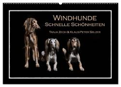 Windhunde - Schnelle Schönheiten (Wandkalender 2024 DIN A2 quer), CALVENDO Monatskalender