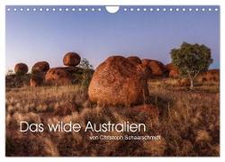 Das wilde Australien (Wandkalender 2024 DIN A4 quer), CALVENDO Monatskalender