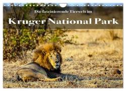Faszinierende Tierwelt des Kruger National Parks (Wandkalender 2024 DIN A4 quer), CALVENDO Monatskalender