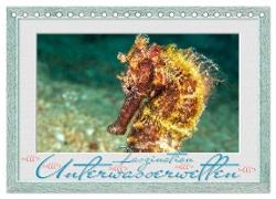 Faszination Unterwasserwelten (Tischkalender 2024 DIN A5 quer), CALVENDO Monatskalender