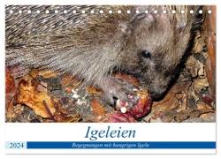Igeleien - Begegnungen mit hungrigen Igeln (Tischkalender 2024 DIN A5 quer), CALVENDO Monatskalender