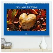 Ein Herz für Pilze (hochwertiger Premium Wandkalender 2024 DIN A2 quer), Kunstdruck in Hochglanz