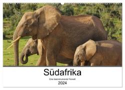 Südafrika - Eine beeindruckende Tierwelt (Wandkalender 2024 DIN A2 quer), CALVENDO Monatskalender