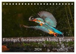 Eisvögel, faszinierende kleine Flieger. (Tischkalender 2024 DIN A5 quer), CALVENDO Monatskalender