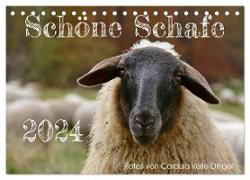 Schöne Schafe (Tischkalender 2024 DIN A5 quer), CALVENDO Monatskalender