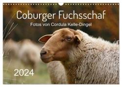 Coburger Fuchsschaf (Wandkalender 2024 DIN A3 quer), CALVENDO Monatskalender