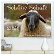 Schöne Schafe (hochwertiger Premium Wandkalender 2024 DIN A2 quer), Kunstdruck in Hochglanz