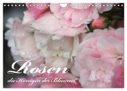 Rosen, die Königin der Blumen (Wandkalender 2024 DIN A4 quer), CALVENDO Monatskalender