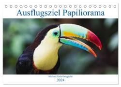 Ausflugsziel Papiliorama (Tischkalender 2024 DIN A5 quer), CALVENDO Monatskalender