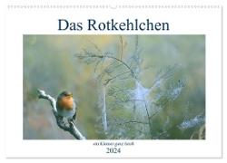 Das Rotkehlchen, ein Kleiner ganz Groß (Wandkalender 2024 DIN A2 quer), CALVENDO Monatskalender