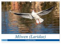 Möwen (Laridae) (Wandkalender 2024 DIN A2 quer), CALVENDO Monatskalender