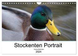 Stockenten Portrait (Wandkalender 2024 DIN A4 quer), CALVENDO Monatskalender