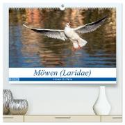 Möwen (Laridae) (hochwertiger Premium Wandkalender 2024 DIN A2 quer), Kunstdruck in Hochglanz