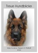 Treue Hundeblicke (Wandkalender 2024 DIN A3 hoch), CALVENDO Monatskalender