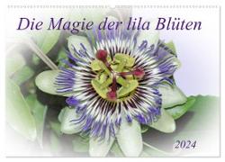 Die Magie der lila Blüten (Wandkalender 2024 DIN A2 quer), CALVENDO Monatskalender