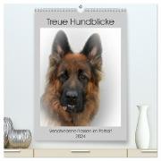 Treue Hundeblicke (hochwertiger Premium Wandkalender 2024 DIN A2 hoch), Kunstdruck in Hochglanz