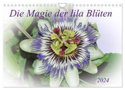 Die Magie der lila Blüten (Wandkalender 2024 DIN A4 quer), CALVENDO Monatskalender