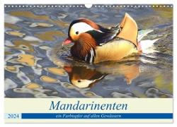 Mandarinenten, ein Farbtupfer auf allen Gewässern. (Wandkalender 2024 DIN A3 quer), CALVENDO Monatskalender