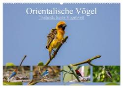 Orientalische Vögel - Thailands bunte Vogelwelt (Wandkalender 2024 DIN A2 quer), CALVENDO Monatskalender