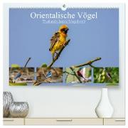 Orientalische Vögel - Thailands bunte Vogelwelt (hochwertiger Premium Wandkalender 2024 DIN A2 quer), Kunstdruck in Hochglanz