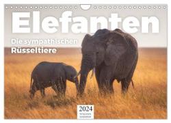 Elefanten - Die sympathischen Rüsseltiere (Wandkalender 2024 DIN A4 quer), CALVENDO Monatskalender