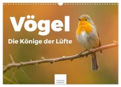 Vögel - Die Könige der Lüfte (Wandkalender 2024 DIN A3 quer), CALVENDO Monatskalender